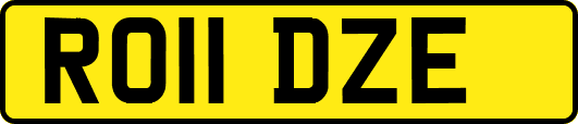 RO11DZE