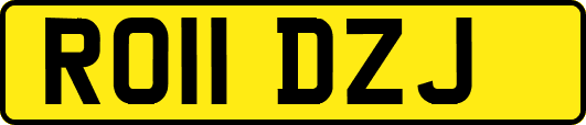 RO11DZJ