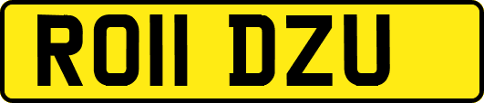 RO11DZU
