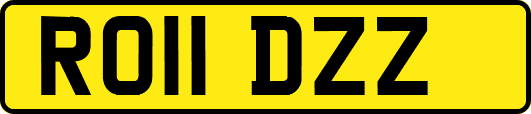 RO11DZZ