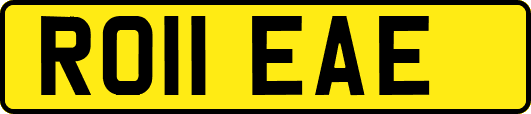 RO11EAE
