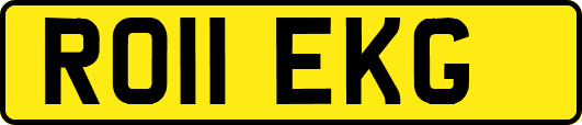 RO11EKG