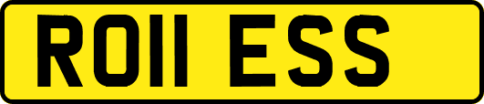 RO11ESS