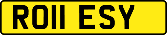 RO11ESY