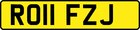 RO11FZJ