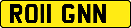 RO11GNN