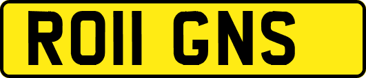 RO11GNS