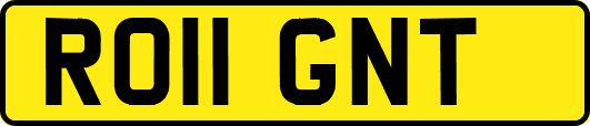RO11GNT