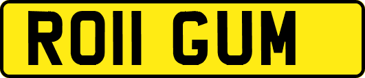 RO11GUM