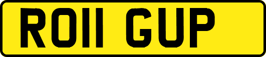 RO11GUP