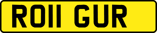 RO11GUR