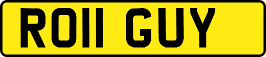 RO11GUY