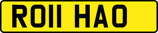 RO11HAO