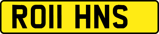 RO11HNS