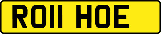 RO11HOE
