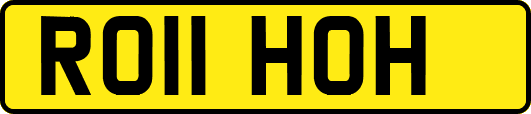 RO11HOH