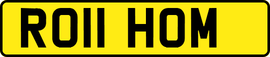 RO11HOM