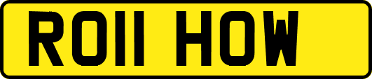 RO11HOW