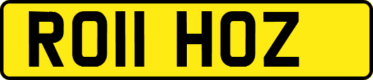 RO11HOZ