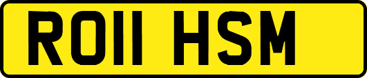 RO11HSM