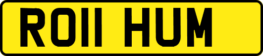 RO11HUM