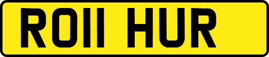 RO11HUR