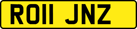 RO11JNZ
