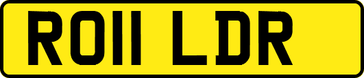 RO11LDR