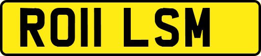 RO11LSM