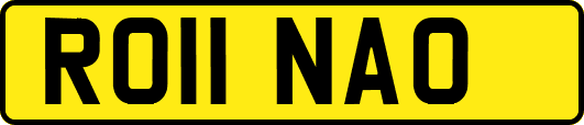 RO11NAO