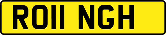 RO11NGH