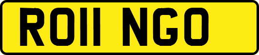 RO11NGO