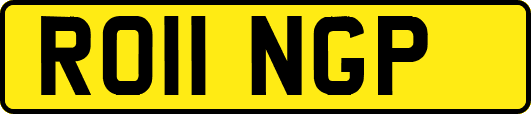 RO11NGP