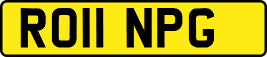 RO11NPG
