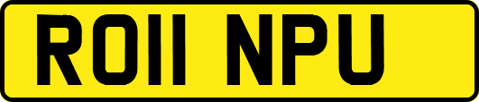 RO11NPU