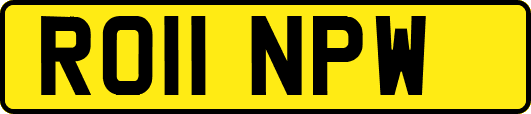 RO11NPW