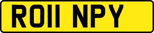 RO11NPY