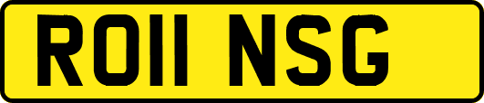 RO11NSG