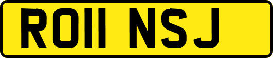RO11NSJ