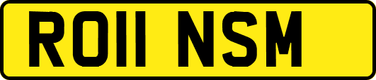 RO11NSM