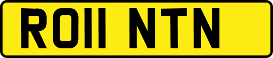 RO11NTN