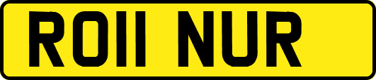 RO11NUR
