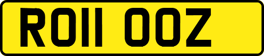 RO11OOZ