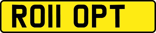 RO11OPT