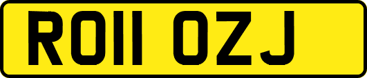 RO11OZJ