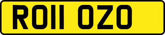 RO11OZO