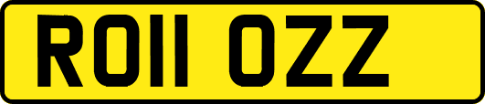 RO11OZZ