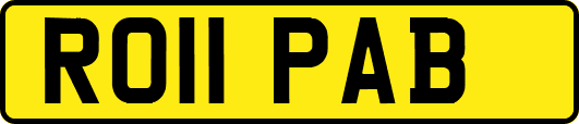 RO11PAB