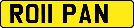 RO11PAN