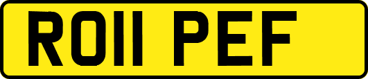 RO11PEF